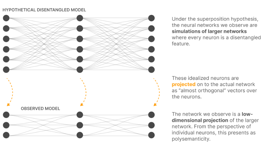 projected-neuron